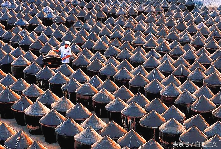 人为什么要吃熟食还要吃菜,人为什么要吃食物