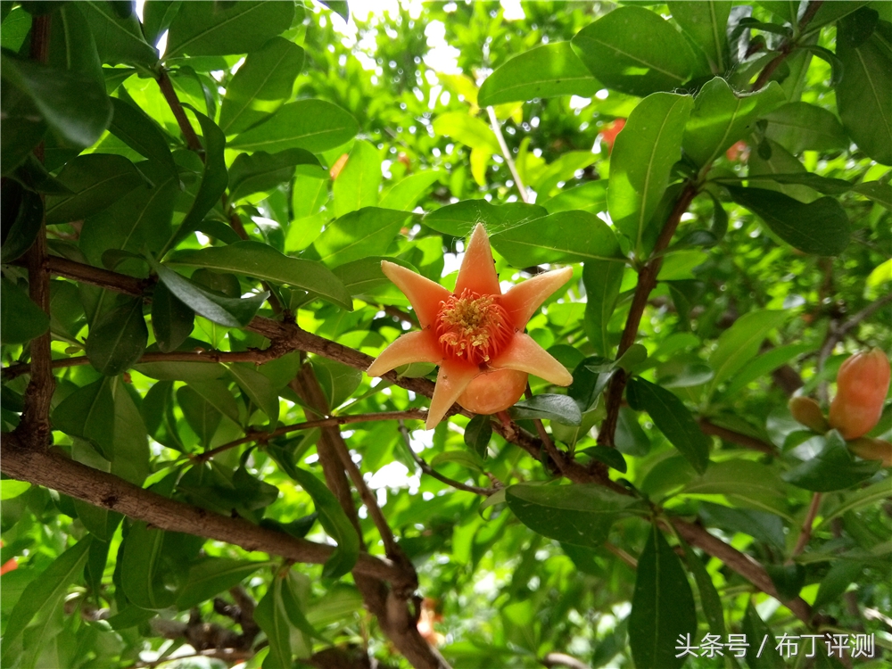 裸眼真能体验震动出屏？这款裸眼3D手机告诉你答案！