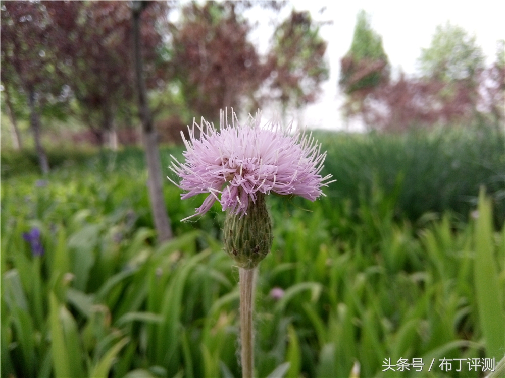 裸眼真能体验震动出屏？这款裸眼3D手机告诉你答案！