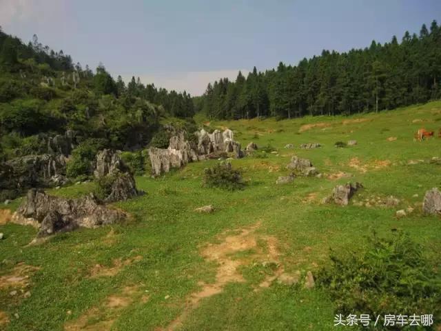 重庆约会地浪漫推荐,重庆打卡浪漫约会地住进风景里