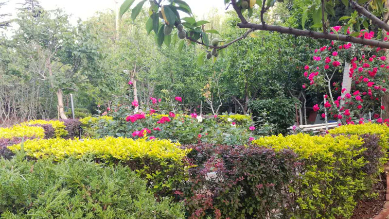 大连居民小区物业业主自管,大连某小区