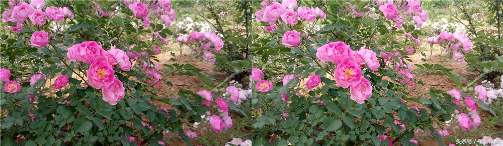 裸眼真能体验震动出屏？这款裸眼3D手机告诉你答案！