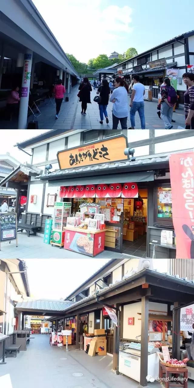 去日本北九州好吗,北九州看樱花