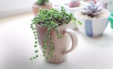 清新装修简单又实用,清凉一夏夏装搭配