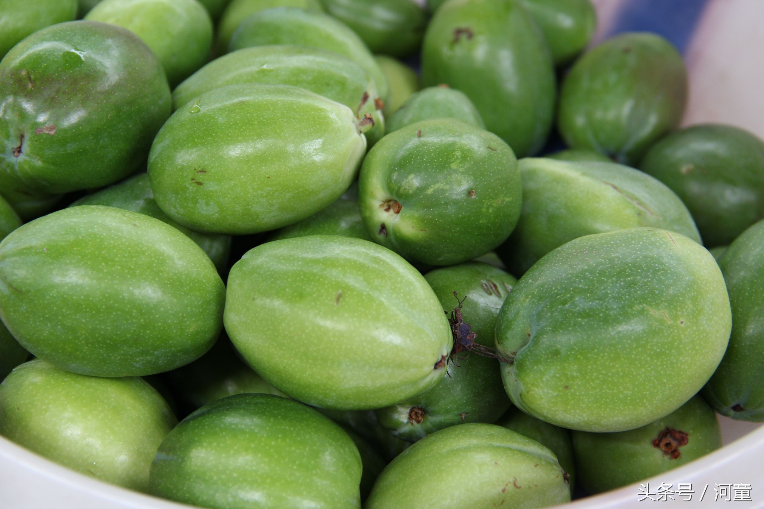 喜洲镇哪里好玩,喜洲哪个地方比较好玩