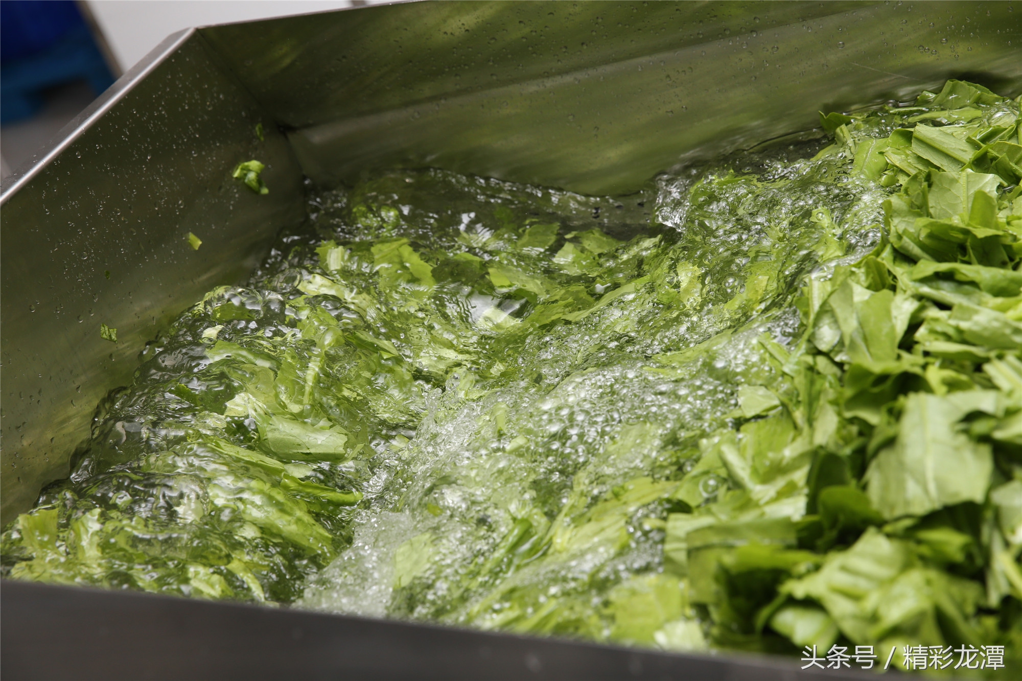 酷客李——吉林市最大的营养配餐中心