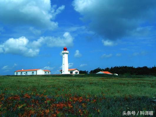 法国国王的狗狗，连狼都敢捕！可惜狼少了，狗也少了