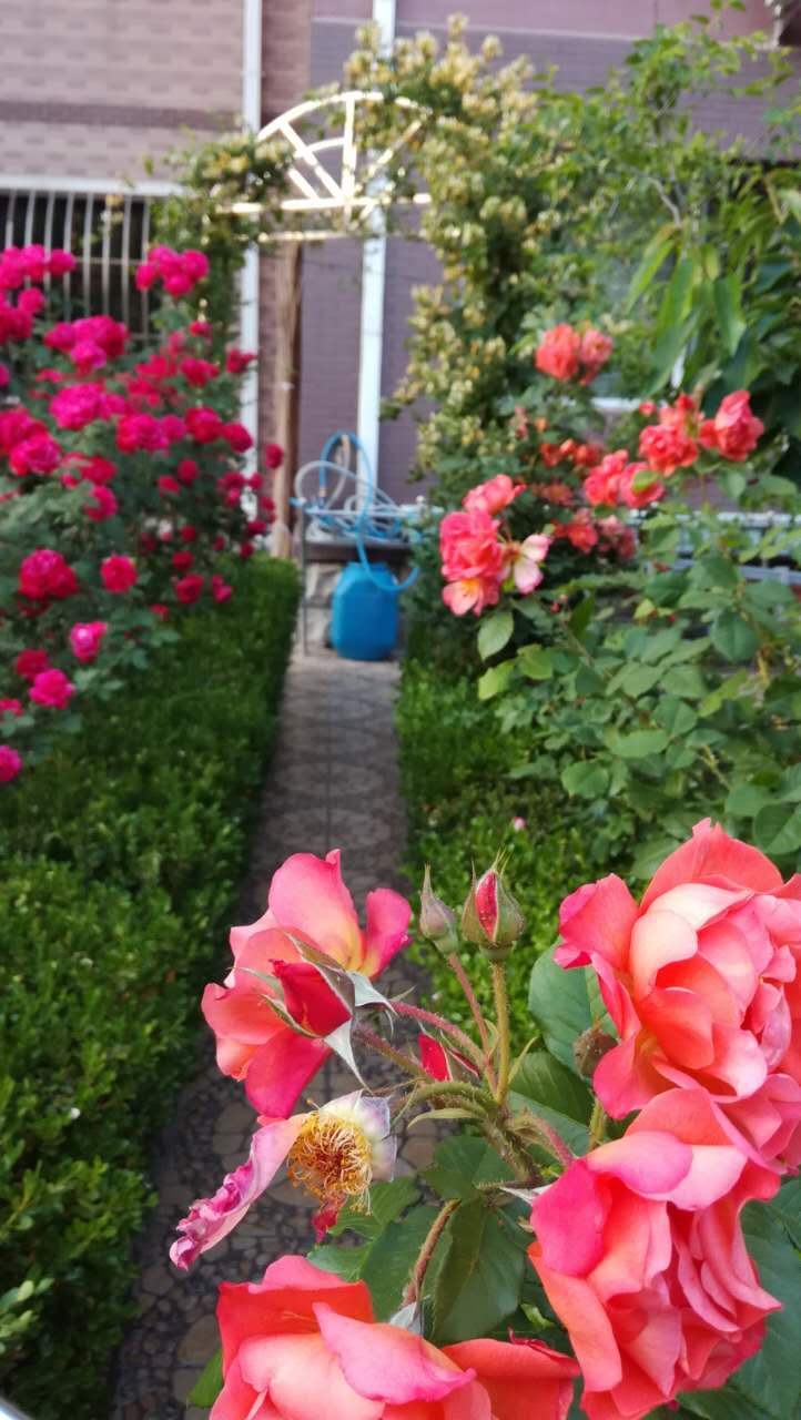 大连居民小区物业业主自管,大连某小区