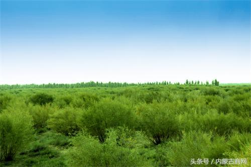 赵永亮视频,赵永亮喀什