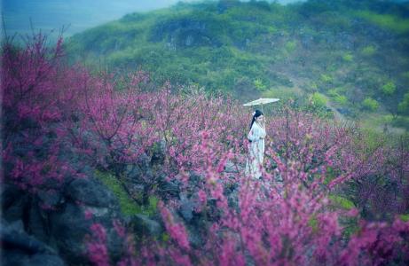 描写农家田园风光的诗,农村生活田园风景诗