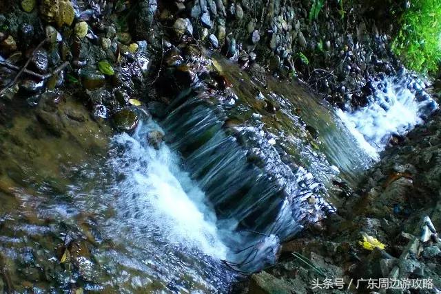 广东普罗旺斯花海,普罗旺斯的薰衣草紫色花海