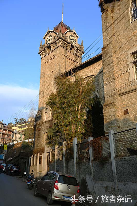 印度大吉岭红茶有几个品牌,印度大吉岭红茶品种