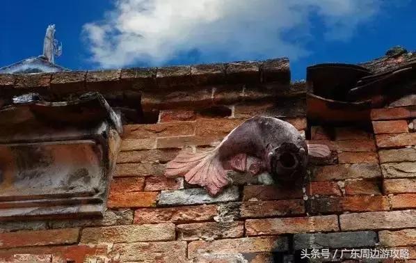 广东普罗旺斯花海,普罗旺斯的薰衣草紫色花海