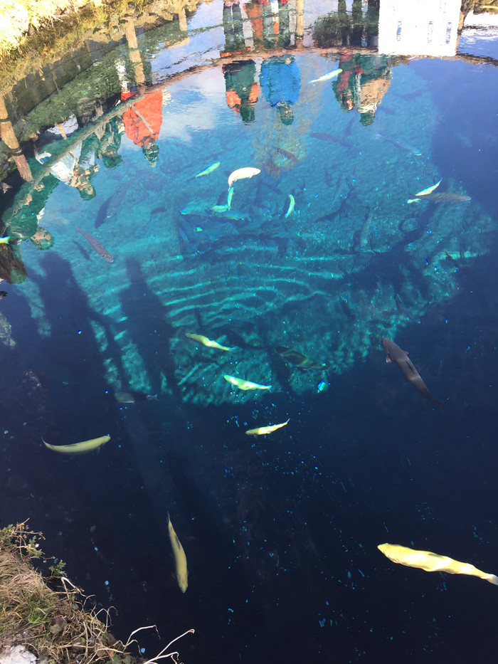 日本的冬天依旧色彩绚烂,冬季日本的冰雪阳光