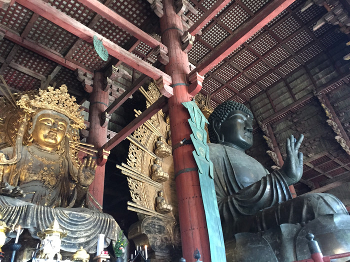 日本的冬天依旧色彩绚烂,冬季日本的冰雪阳光