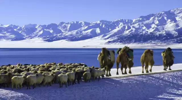 新疆南北疆大环线风景旅游专列,北京去新疆沿途风景