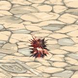 多图：DNF全工作二觉宠物外观一览，回归冒险家可免费领取