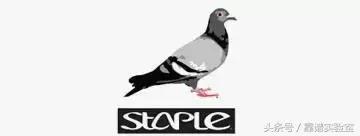 无印花t恤夏,无印花t恤推荐