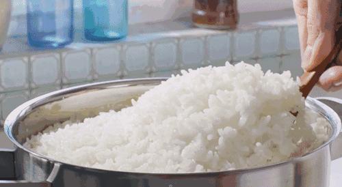 什么！你吃的不是香喷喷的白饭而是鬼稻？浙大科学家解密鬼稻