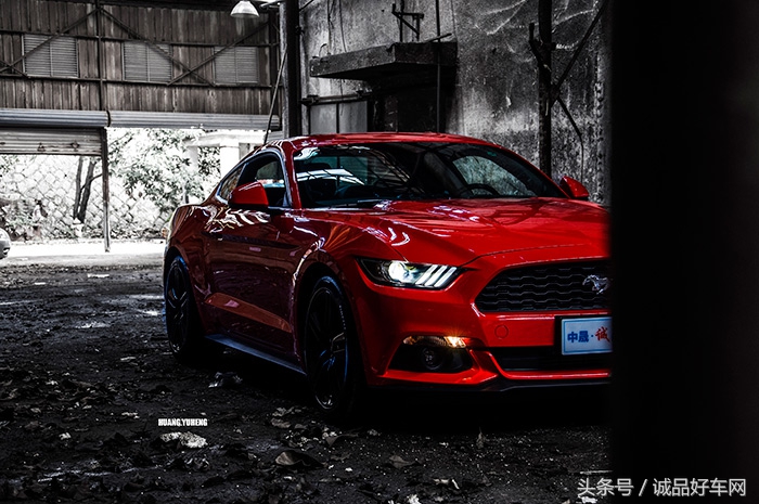 没有奔跑在草原的野马，成了男人心口的朱砂痣