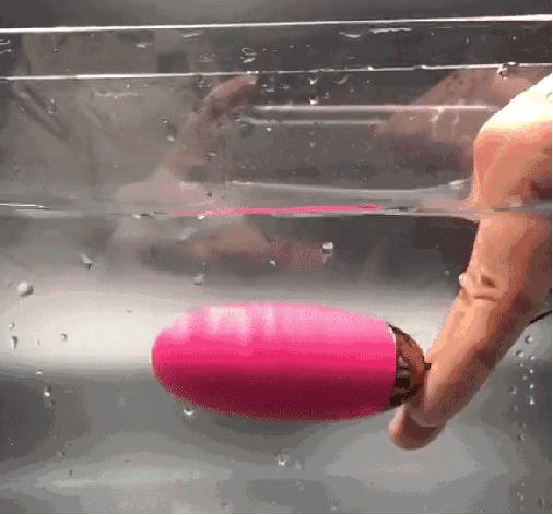 夏天最“解渴”的萌物，整个人都化成了一汪春水！