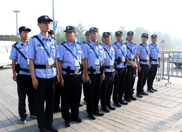 金盾护卫简介,金盾护卫