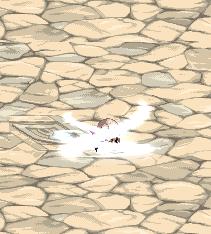 多图：DNF全工作二觉宠物外观一览，回归冒险家可免费领取