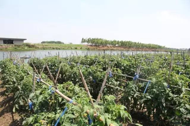 萧山本地菜好吃饭店,萧山十大特色菜谱