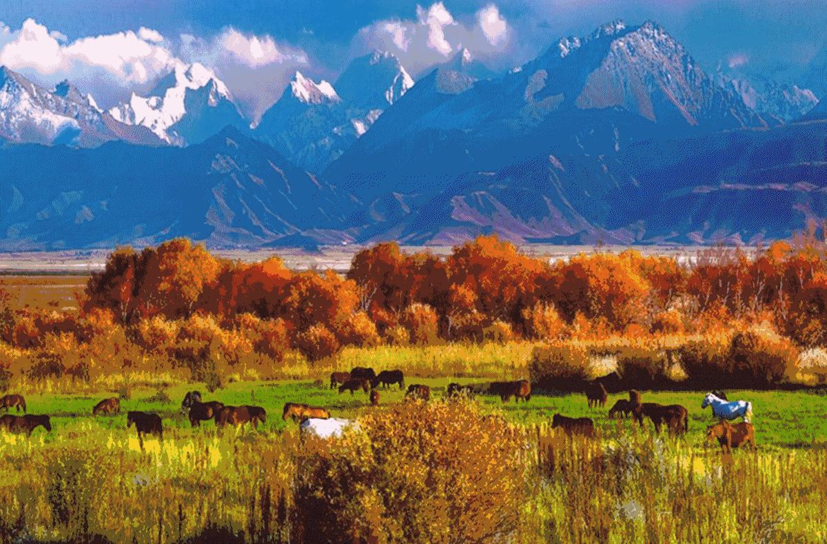 新疆南北疆大环线风景旅游专列,北京去新疆沿途风景