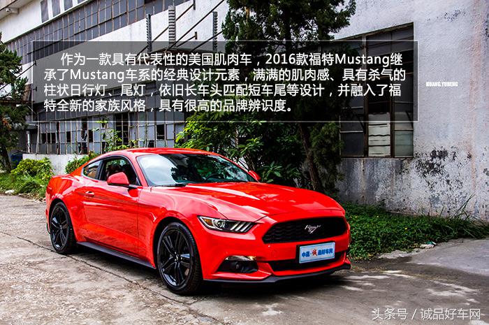 没有奔跑在草原的野马，成了男人心口的朱砂痣