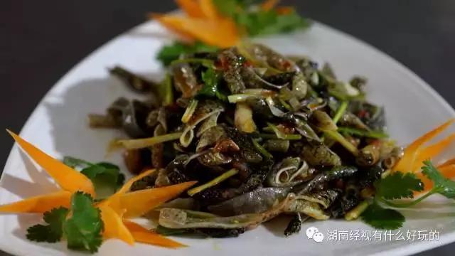咱大东安上湖南经视啦：美女带你赏东安美景，品东安美食！