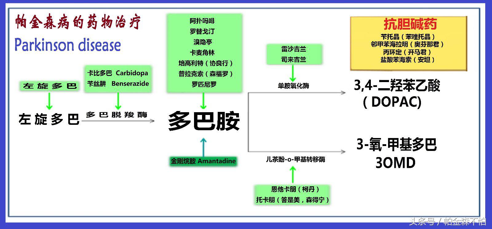 各种帕金森患者首选治疗药物,帕金森智力减退首选的药物