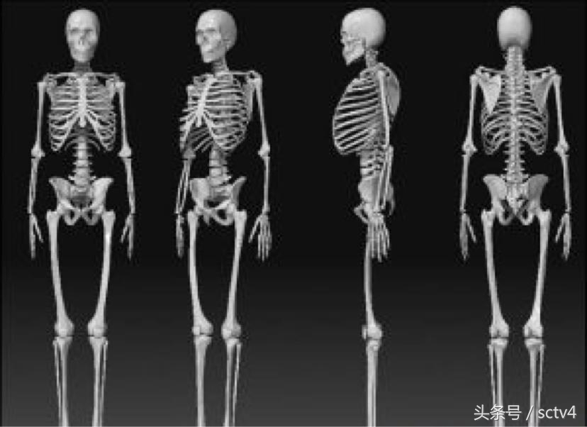 青少年补钙增高产品,青少年增高营养品正品