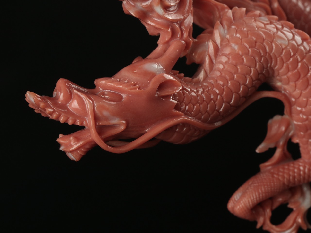 红珊瑚有多珍贵,红珊瑚珍贵么