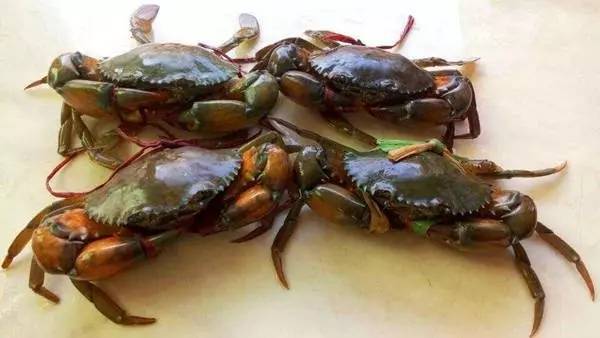 太原柳巷美食团购肉蟹煲,4个人团购套餐柳巷肉蟹煲