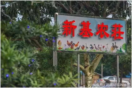 高配的自家农场农庄开始大放价，38蚊/打湛江生蚝！1蚊炸云吞