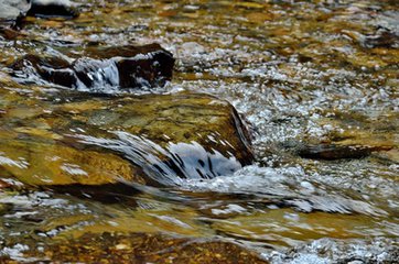 传说泡“山泉水”的三大好处真有这么神