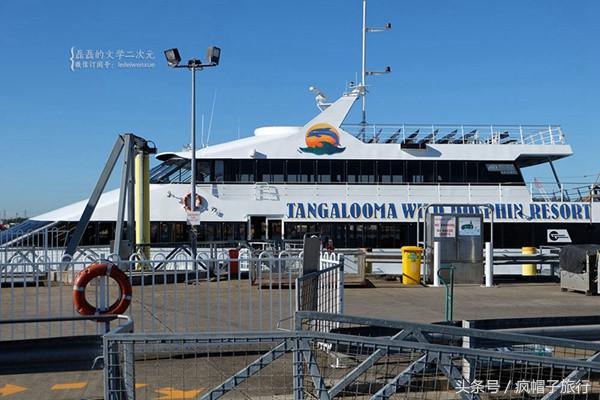 36个必须知道的澳洲旅行贴士,澳洲昆士兰州自由行攻略