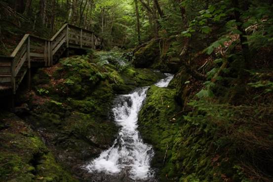 全球最大海潮在哪里,世界上最大的海潮