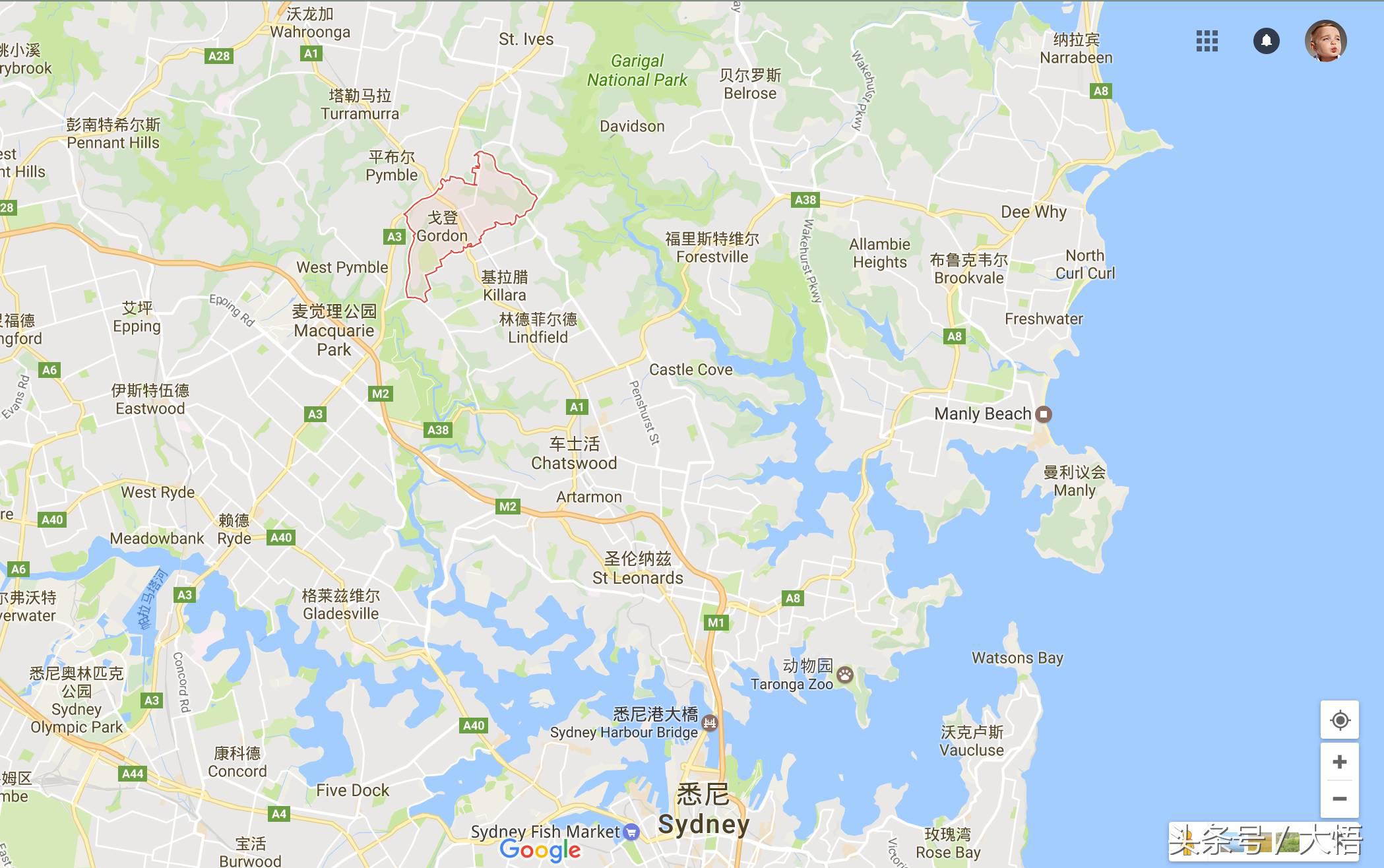 悉尼gordon怎么样,悉尼富人区huntershill