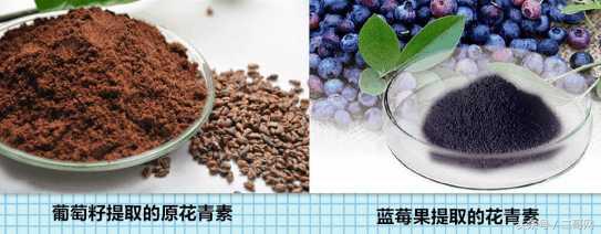 吃葡萄籽到底能不能美白,葡萄籽能美白皮肤吗