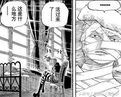 佩罗娜的消极能力对谁没用,佩罗娜最新