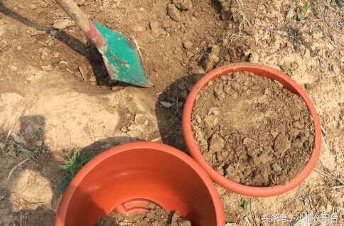 种花没有瓦片,营养土可以种花吗怎么配制