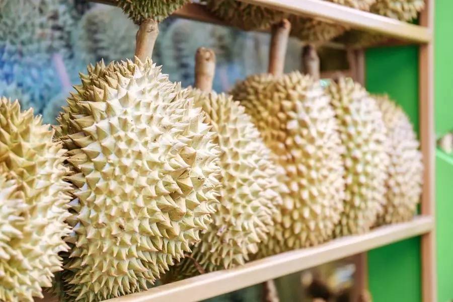 泰国吃榴莲自助餐视频,第一次吃泰国料理