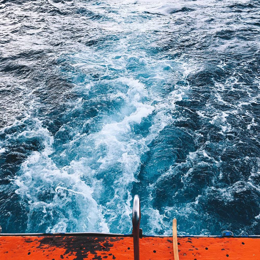 温雅｜去世界的另一端看看！涛岛游