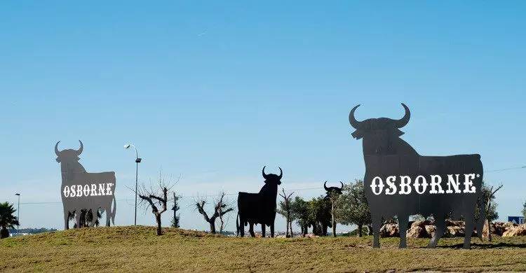 这只旷野露JJ黑牛是如何逆袭成西班牙文化符号的？认识板鸭圣斗牛