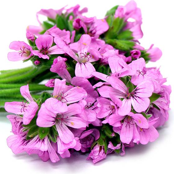 别的变美都要靠整，唯独华发三千，你值得拥有