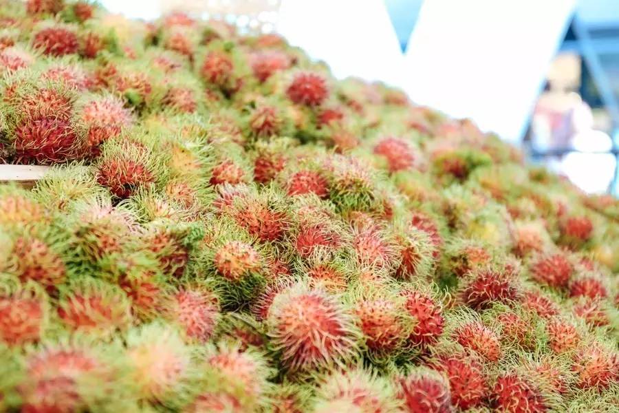 泰国吃榴莲自助餐视频,第一次吃泰国料理