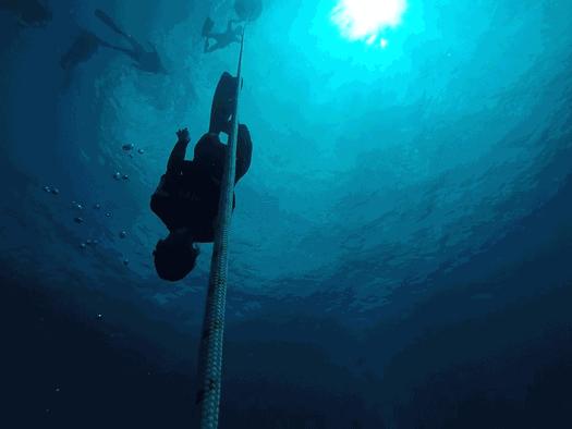 温雅｜去世界的另一端看看！涛岛游