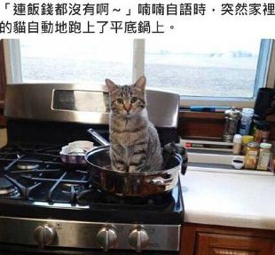 懒癌患者是什么症状,懒癌症状表现